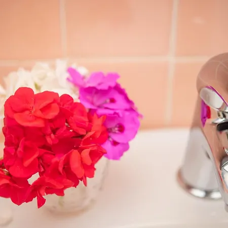 Apartment Monolocale Melograno Palau